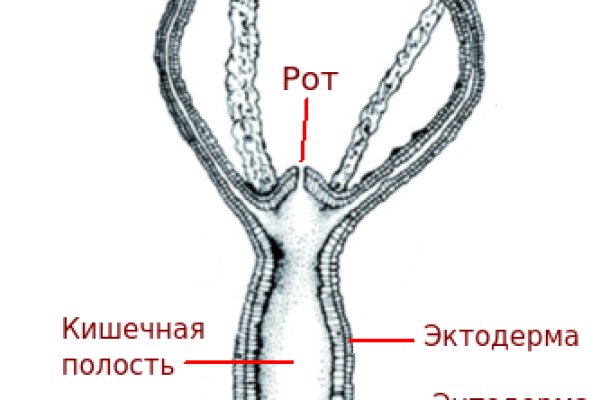 Список сайтов супернета