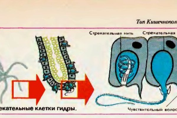 Вывести деньги с кракена
