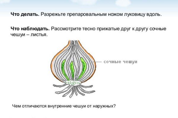 Kraken что это за магазин