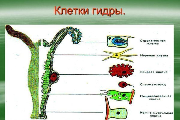 Ссылка на кракен площадка