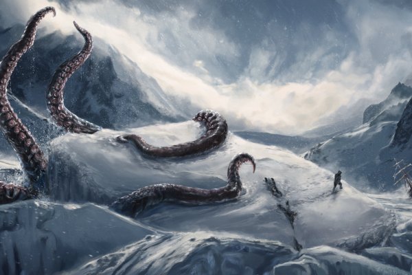 Кракен маркет whitenet