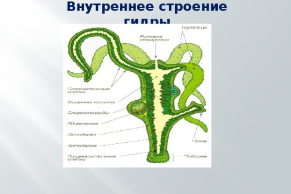 Пользователь не найден кракен что делать