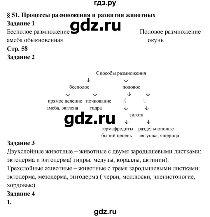 Можно вывести деньги с кракена