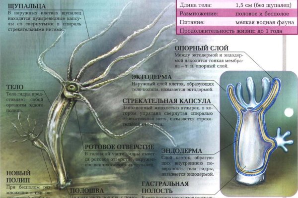 Кракен ссылка 2025