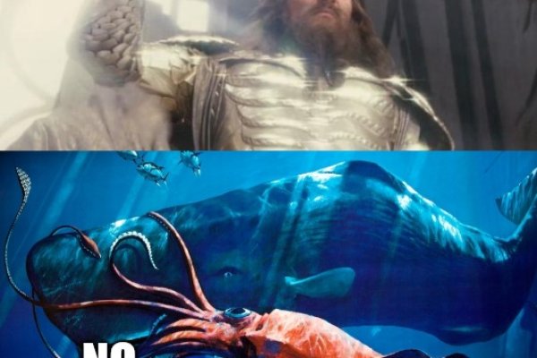 Kraken 12