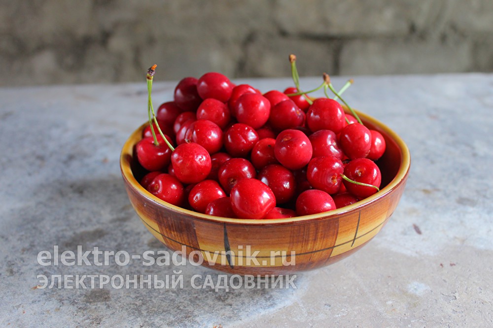Счастье заказать